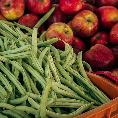 科学上网IP被封的应对策略与常见问题解答：确保畅通无阻的上网体验